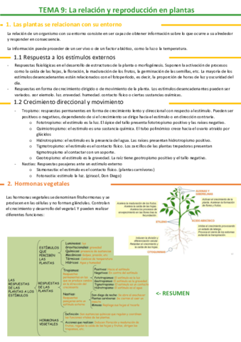 9La-relacion-y-reproduccion-en-plantas.pdf