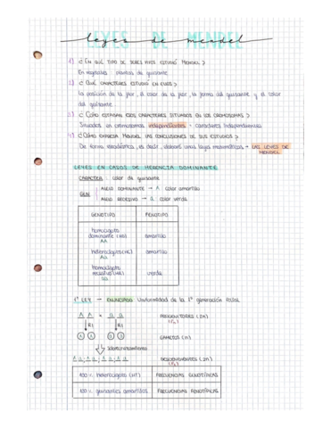 Leyes-de-Mendel.pdf