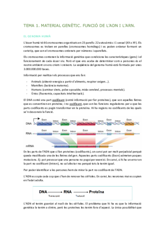 Fonaments-biologics-teoria.pdf