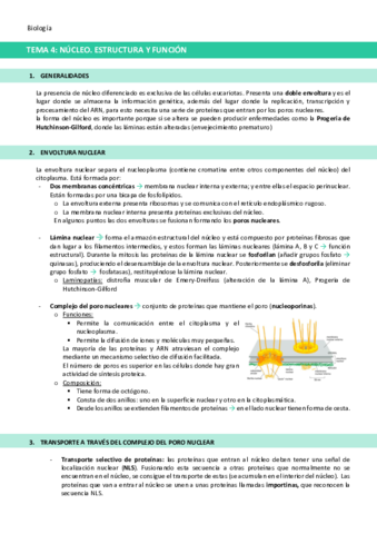 TEMA-4-Nucleo.pdf