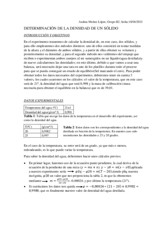 Informe-densidades.pdf