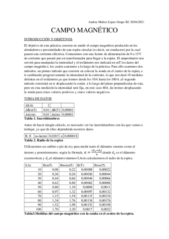 Informe-campo-magnetico.pdf