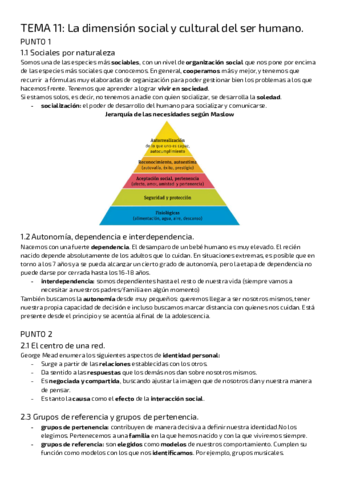 TEMA-11-.pdf