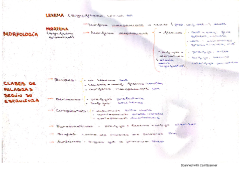 Morfologia.pdf