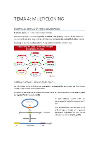 IG-TEMA-4.pdf