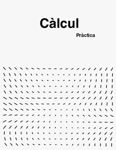 Calcul-exercicis-i-maple.pdf
