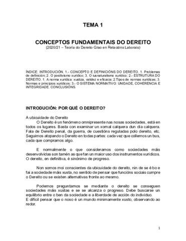 Teoria-do-dereito-Apuntes-definitivos.pdf