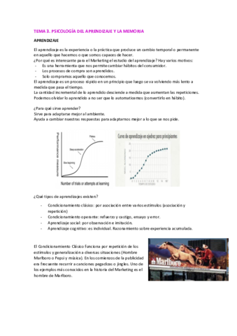 TEMA-3.pdf