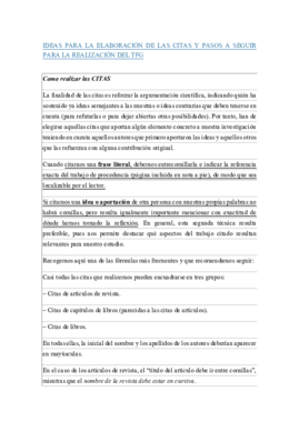 IDEAS PARA LA ELABORACIÓN DE LAS CITAS  TFG.pdf