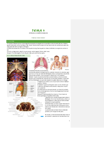 tema-4-sistema-cardiovascular.pdf