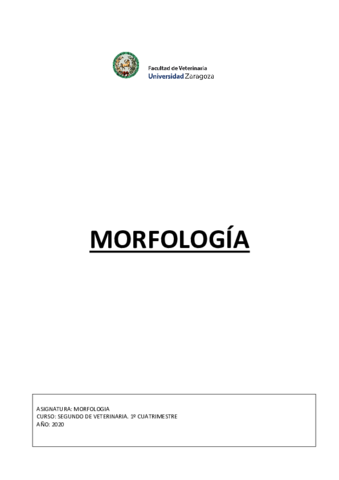morfo-completo.pdf