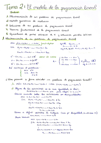 TEMA-2-OPTIMIZACION.pdf
