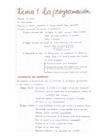 Tema-1-La-programacion.pdf