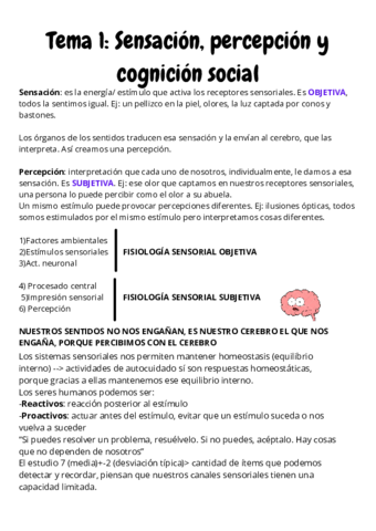 Tema-1-Psicosociales.pdf