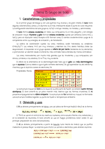 Tema-13-pdf.pdf