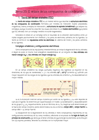 Tema-20-pdf.pdf