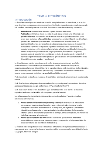 TEMA-4-FOTOSINTESIS.pdf