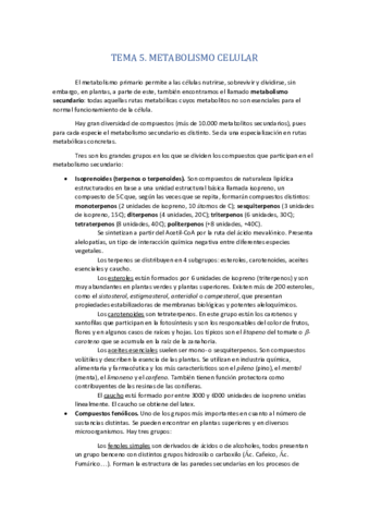 TEMA-5-METABOLISMO-SECUNDARIO.pdf