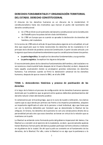 Derechos-fundamentales-y-organizacion-territorial-del-Estado.pdf