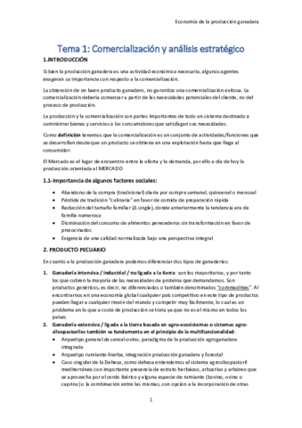 Tema-1-Comercializacion-y-analisis-estrategico-.pdf