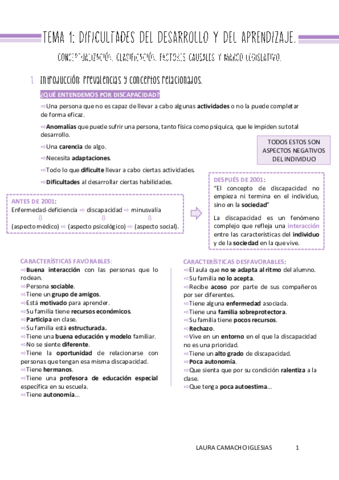 Tema1ConceptualizacionDDA-Definitivo.pdf