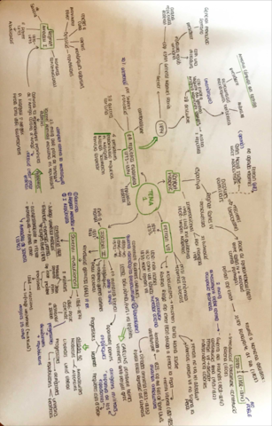 esquema-historia-tema-1-2.pdf