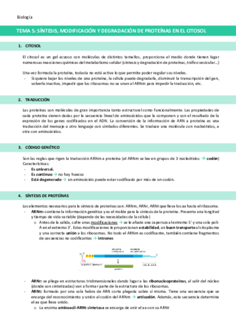 TEMA-5-Sintesis-modificacion-y-degradacion-de-proteinas-en-el-citosol.pdf