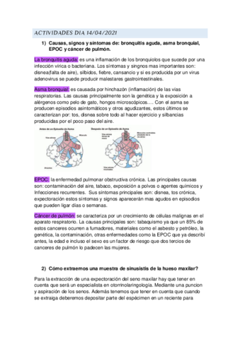 actividades-dia-14.pdf