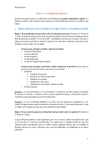 Tema-1-Derechos-Reales-.pdf