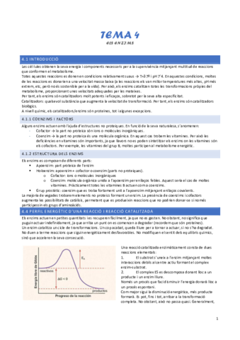 tema-4-els-enzims-i.pdf