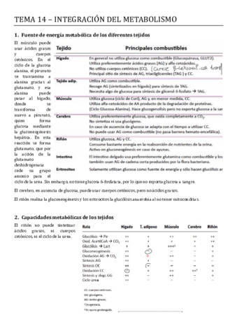 Tema-14-Integracion-del-metabolismo-1.pdf