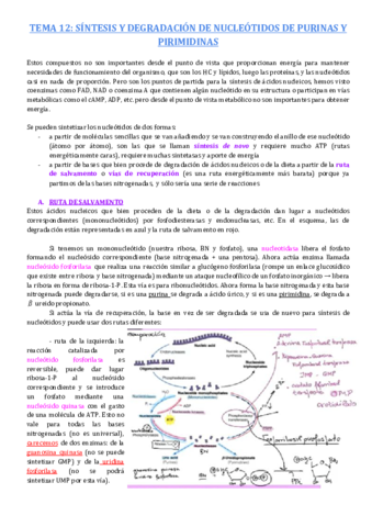 TEMA-12-2.pdf