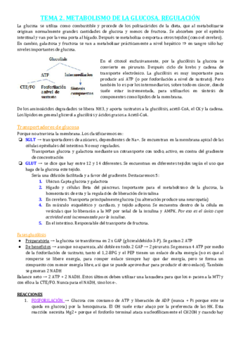 TEMA-2-3-4-Glucosa.pdf
