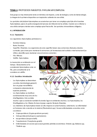 Tema-4-Apicompexa.pdf