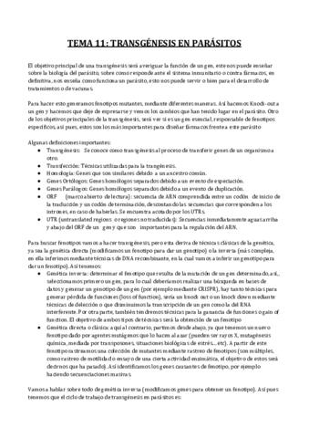 TEMA-11.pdf