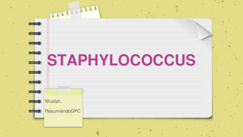 STAPHYLOCOCCUS.pdf