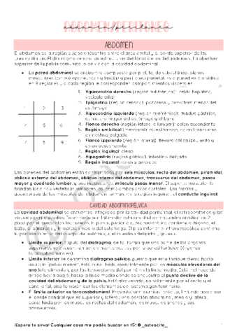 E5-PERITONEO-GRAL.pdf