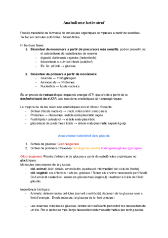 apuntes-anabolisme-heterotrof.pdf