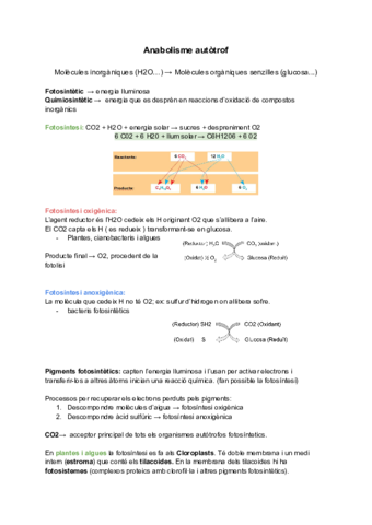 Apuntes-Anabolisme-autotrof.pdf
