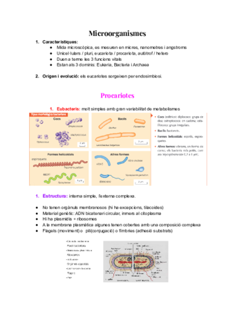 Apuntes-microorganismesLucia-Gutierrez.pdf