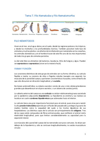 Tema 7. Nematodos y Nematomorfos.pdf