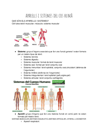 aparells-i-sistemes-del-cos-huma.pdf
