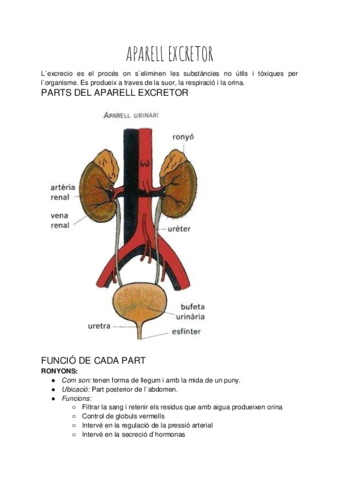 APARELL-EXCRETOR.pdf