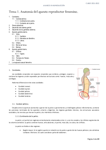 Tema-1.pdf