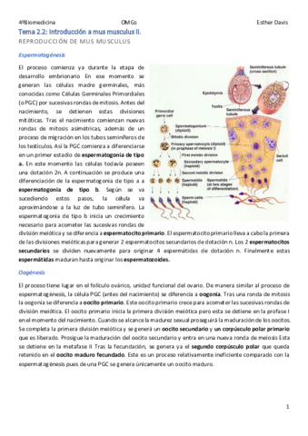 Tema-2.pdf