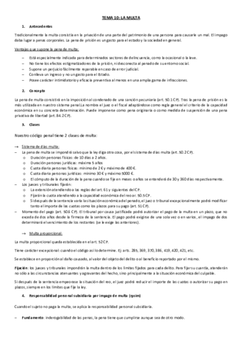 TEMA-10.pdf