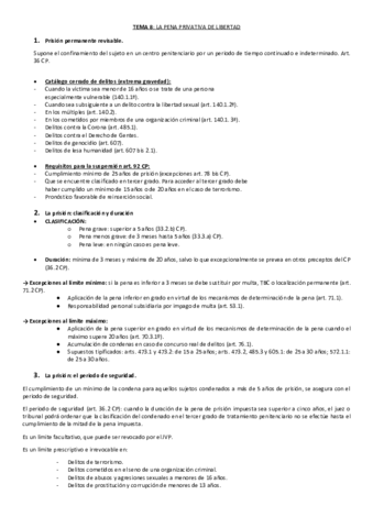 TEMA-8.pdf
