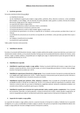 TEMA-11.pdf