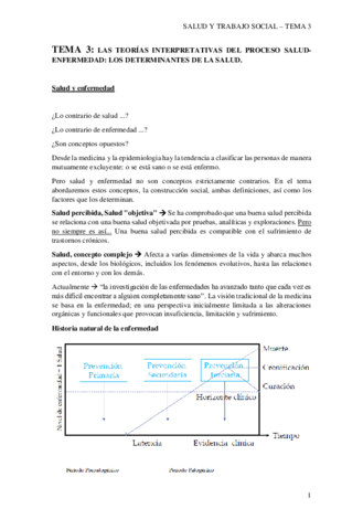 salud-Tema-3.pdf