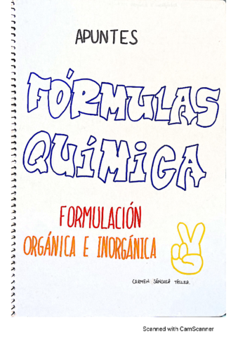 FORMULACION.pdf